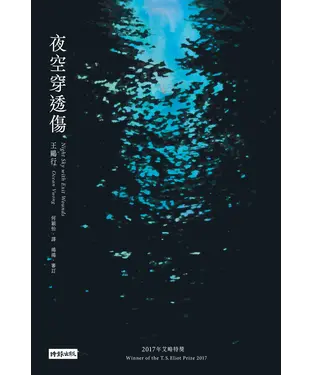 書封 夜空穿透傷